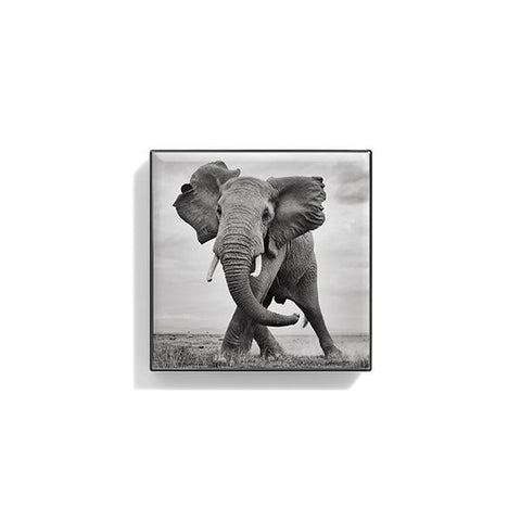 Luminescent Eye Shade