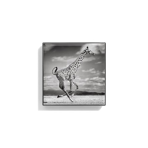 Luminescent Eye Shade